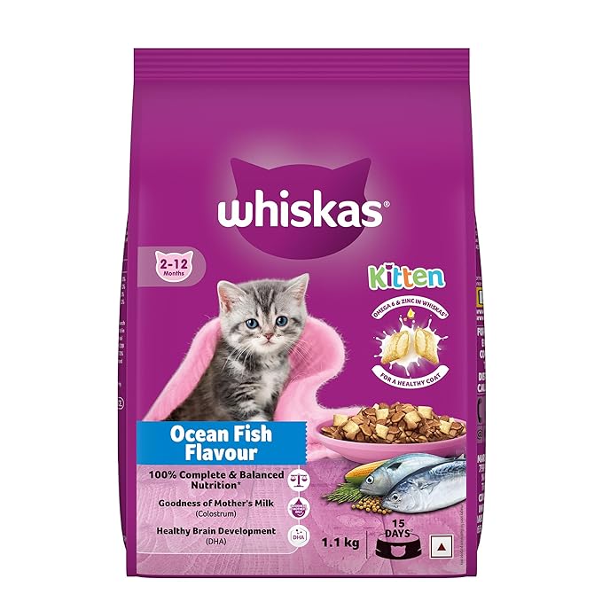 Let’s Bite Active Kitten Dry Cat Food – 800 g | Buy 1 Get 1 Free | Complete Nutrition for Growing Kittens